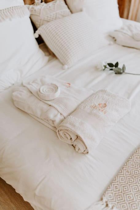 Suite De Charme Avec Jacuzzi Et Cabine Infrarouge Tubize Ngoại thất bức ảnh